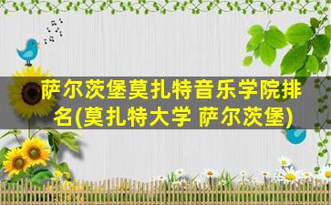 萨尔茨堡莫扎特音乐学院排名(莫扎特大学 萨尔茨堡)